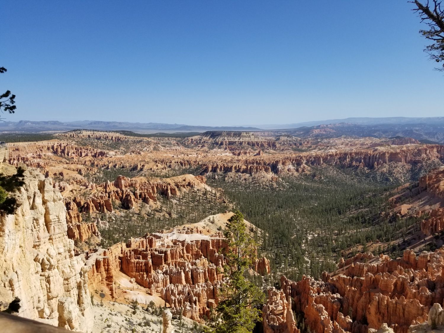 Bryce Point to Inspiration Point 